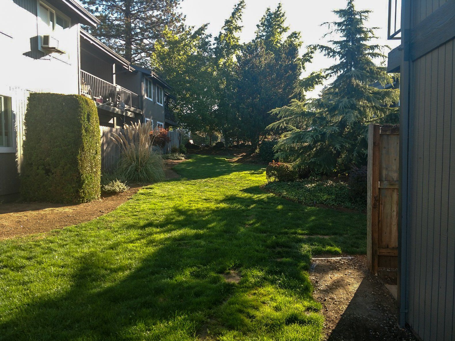 A lush green lawn in front of a building