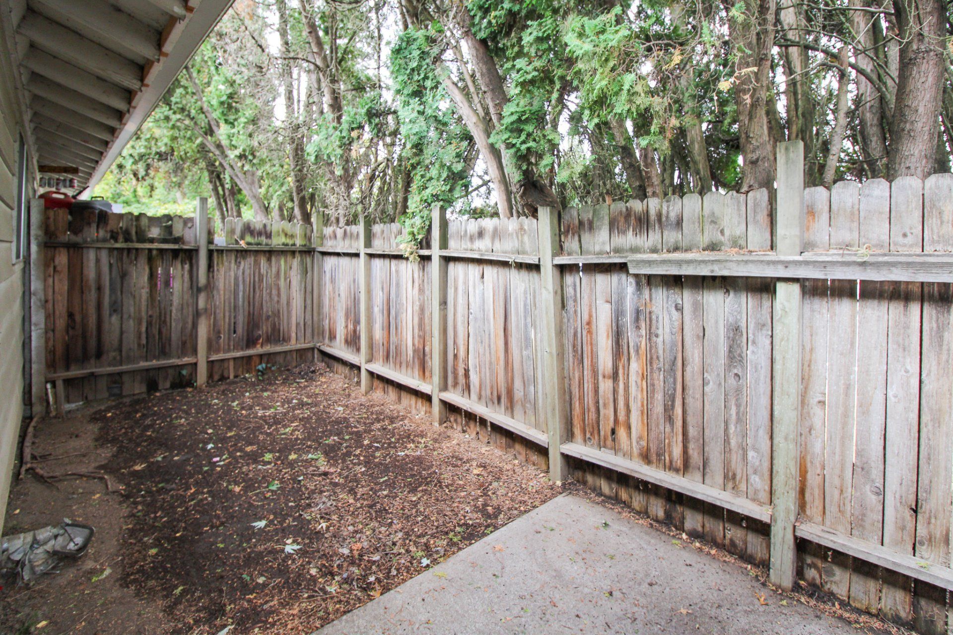 An empty backyard with a wooden fence and trees in the background.