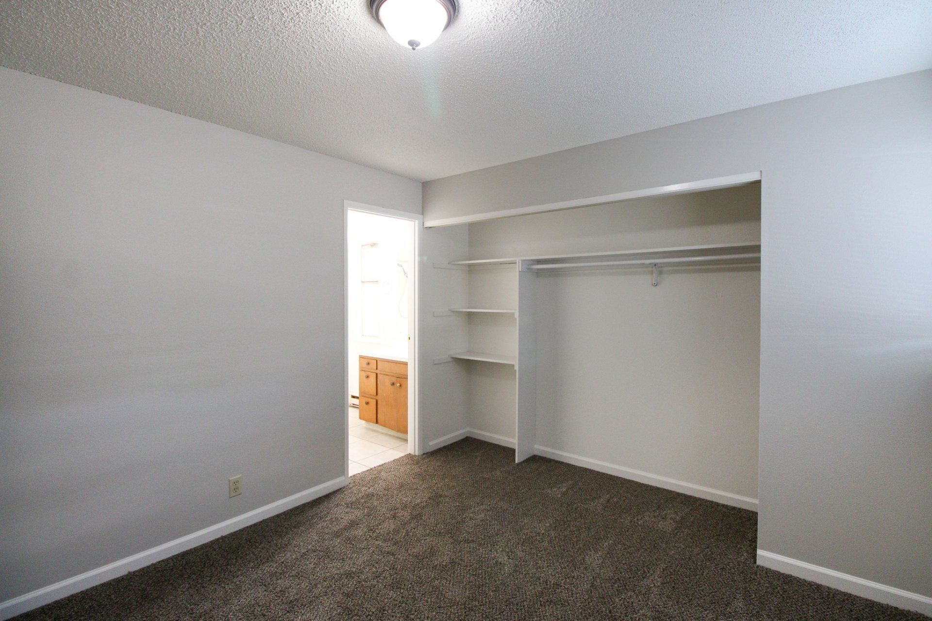 An empty bedroom with a walk in closet and a carpeted floor.