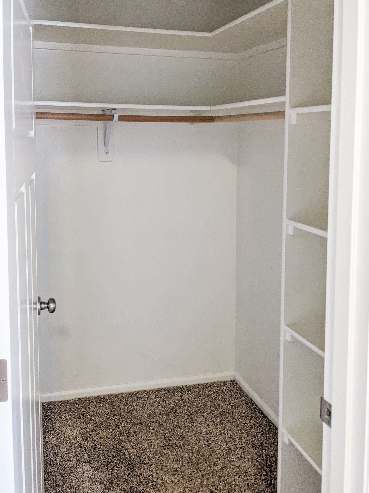 A walk in closet with a carpeted floor and shelves.