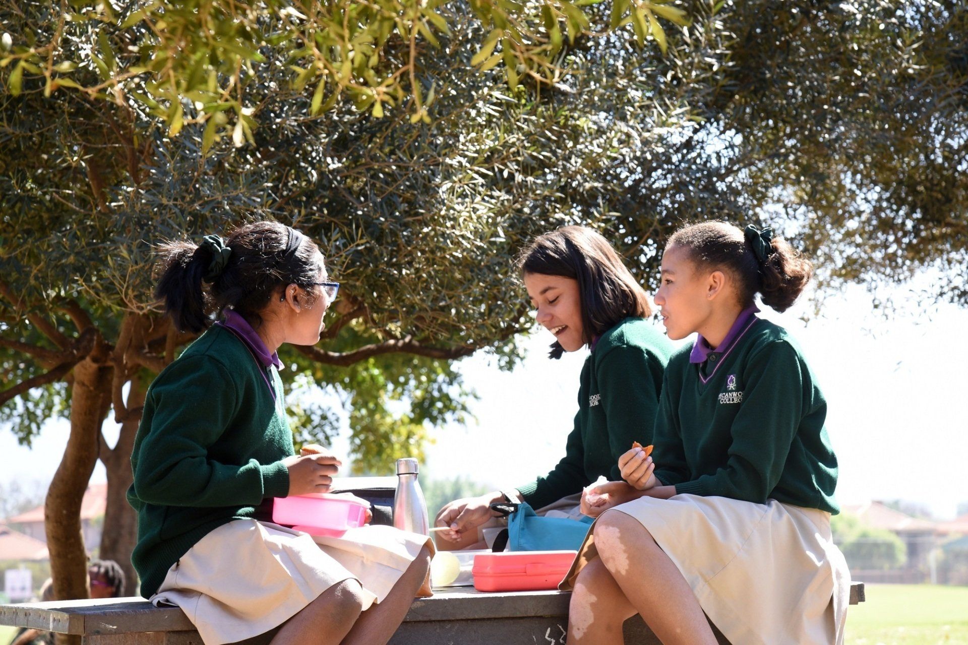 three girls in school uniforms are sitting at a picnic table under a tree .