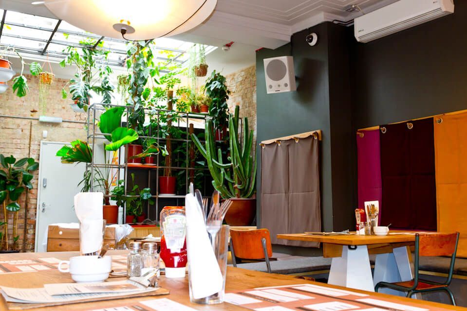 Modern restaurant interior with natural light, plants, and cozy decor