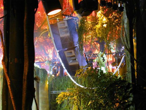 Line array speaker setup surrounded by foliage and dramatic lighting.