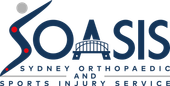 SOASIS Logo
