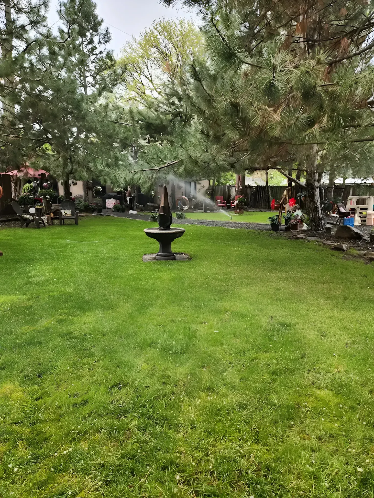 Lush green lawn with a fountain, trees, and buildings in the background.