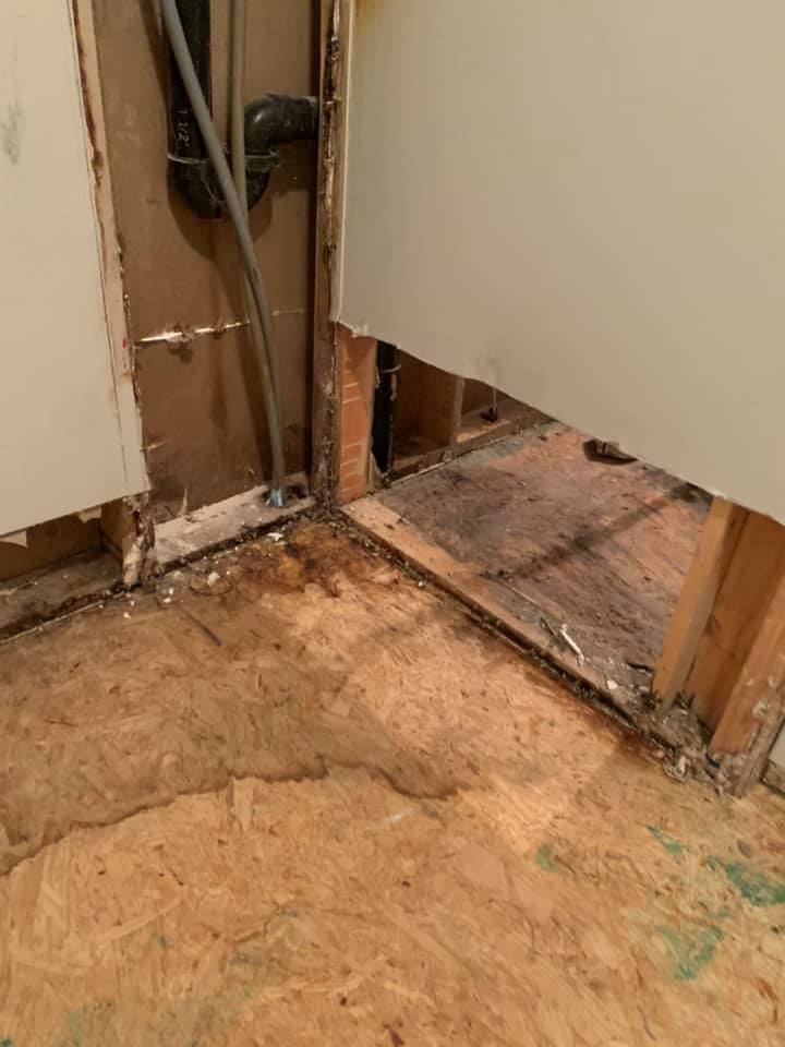 Mold Damage Floor | Coeburn, VA | Fortitude Construction & Restoration