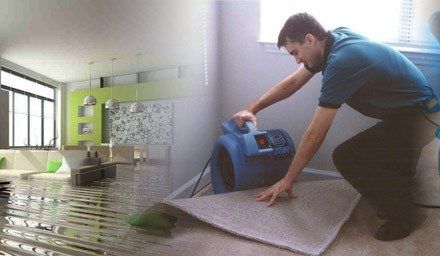 Man Drying Carpet | Coeburn, VA | Fortitude Construction & Restoration
