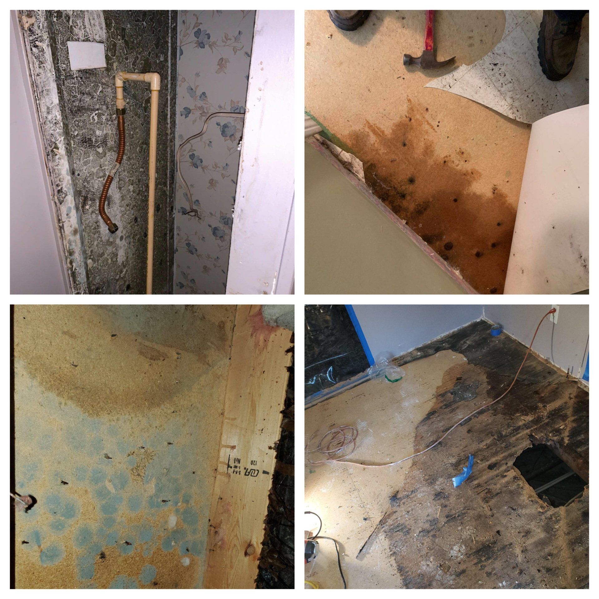 Flooring Renovation | Coeburn, VA | Fortitude Construction & Restoration