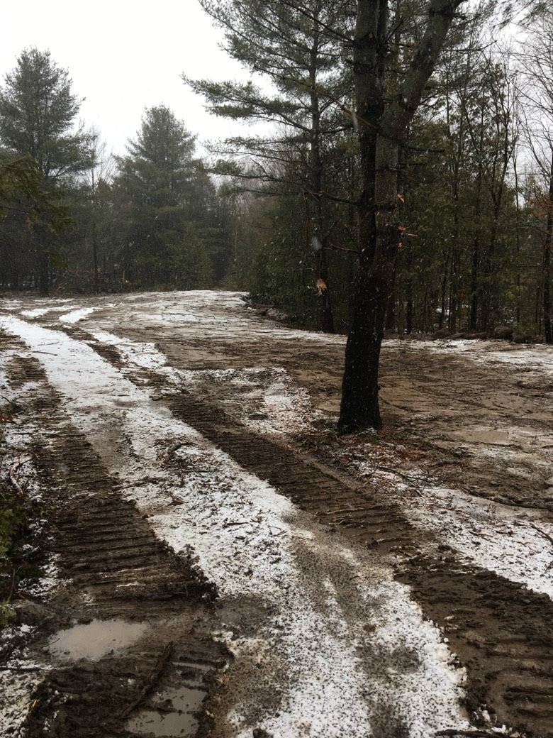 A muddy road in the middle of a forest with snow on the ground.