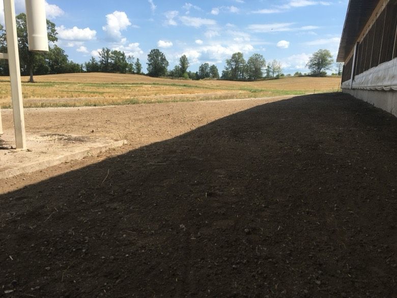 A shadow of a building is cast on a dirt road