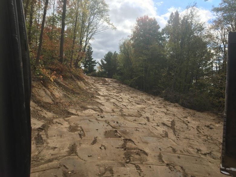 A person is walking down a dirt road in the woods.