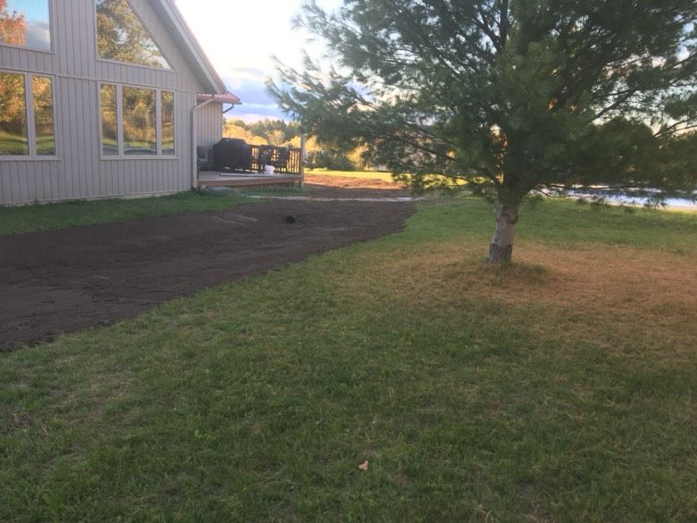 A house with a lot of windows and a tree in front of it.