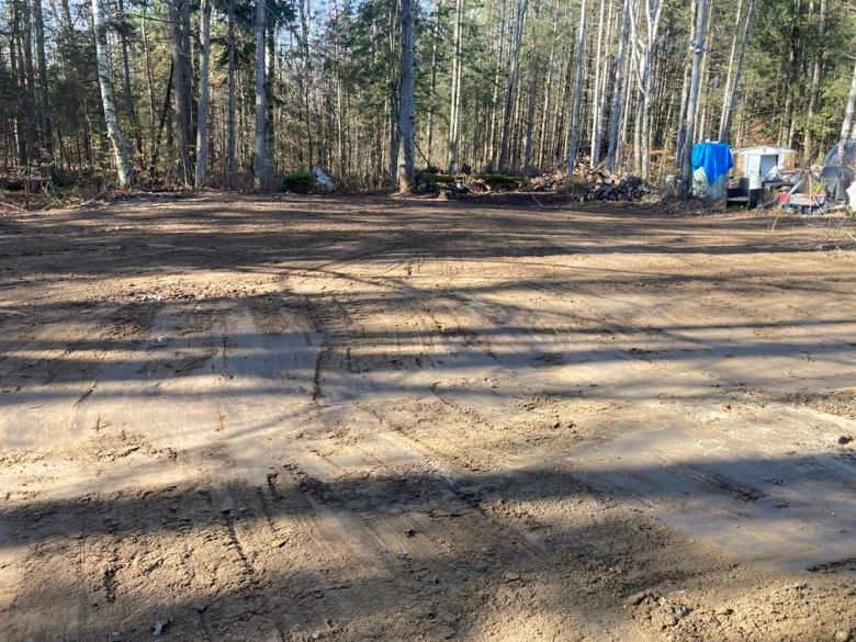 A dirt road in the middle of a forest with trees in the background.