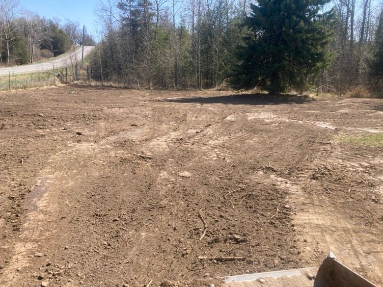 A large dirt field with a tree in the middle of it.