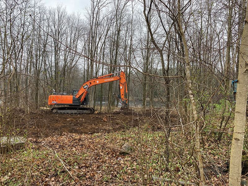 A large orange excavator is working in the middle of a forest.