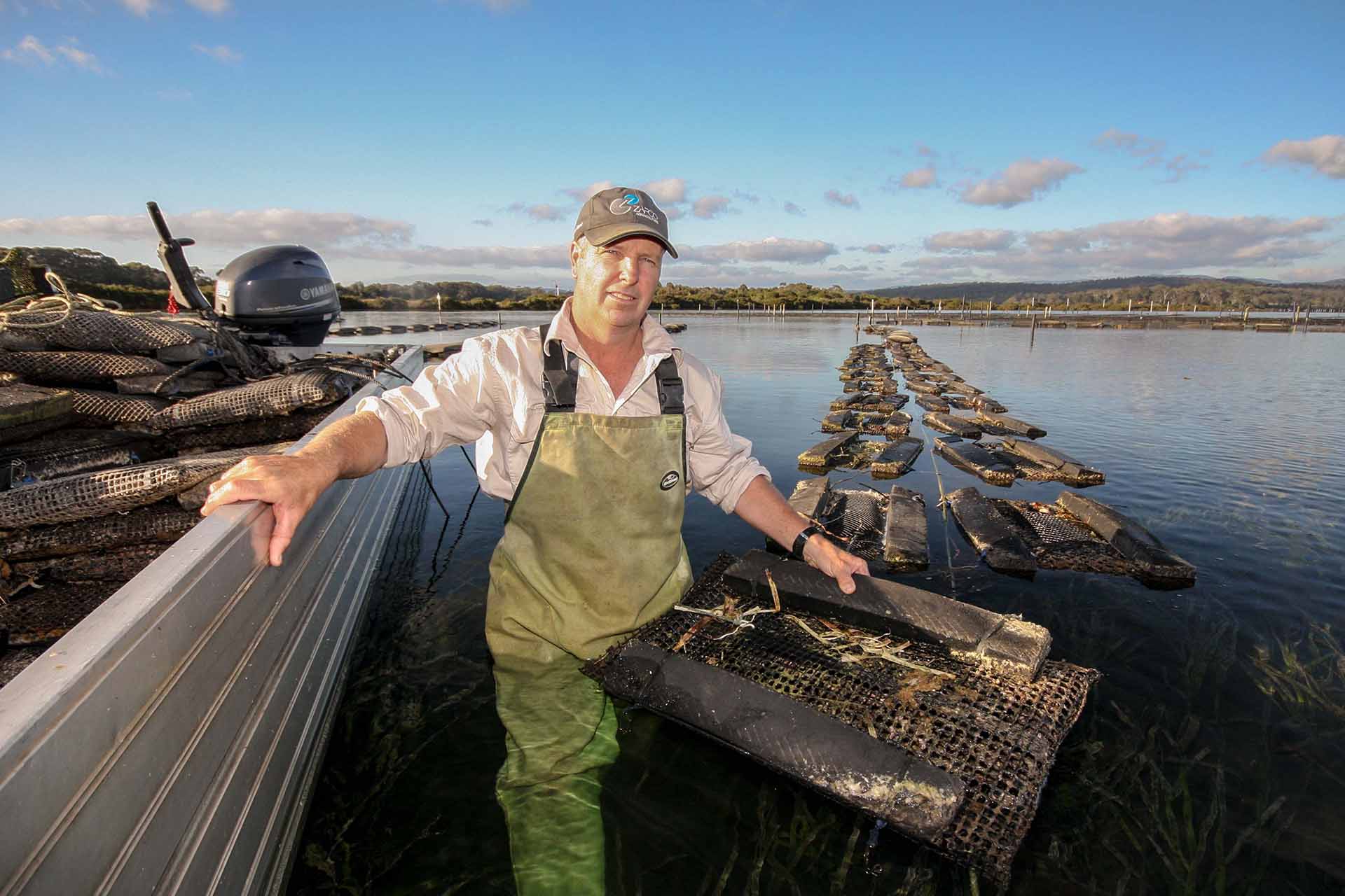 The Destination Agency, Sapphire Coast - Stirling Oysters - Tourism Marketing Project