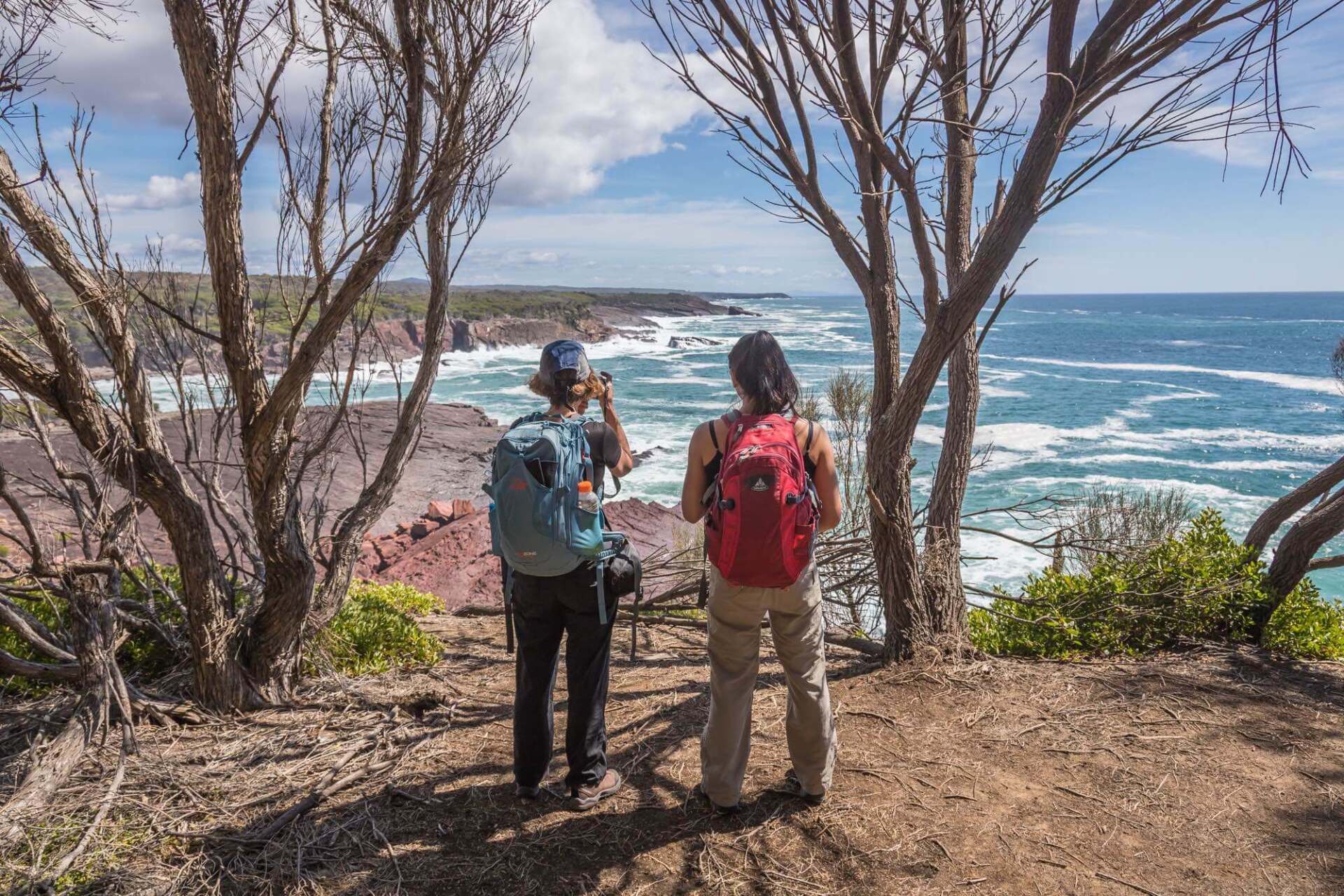 Sapphire Coast Guiding Co, Sapphire Coast Tourism Project - The Destination Agency