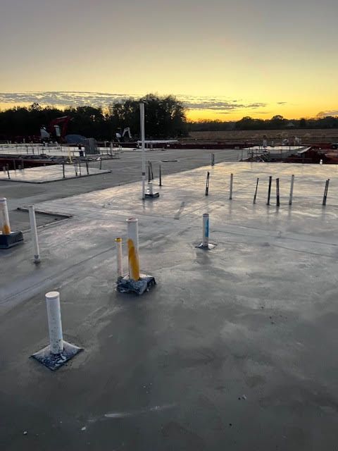 A brick walkway leading to a set of stairs with purple flowers in the background.