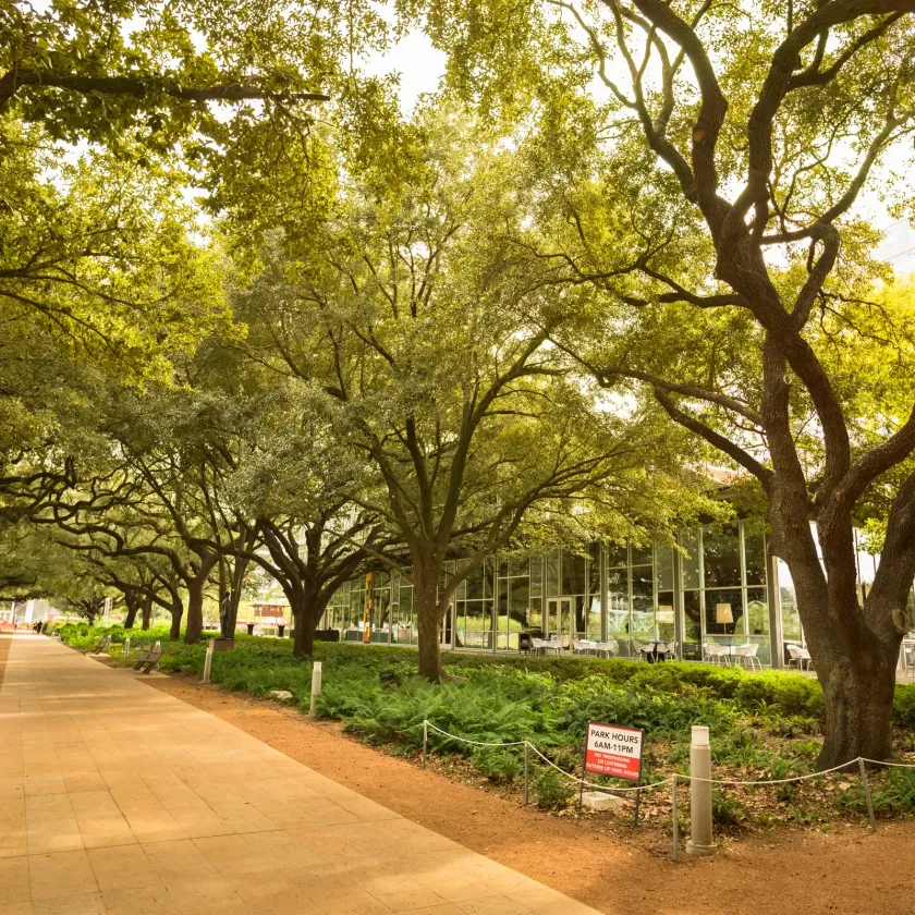 A paved path lined with large, leafy trees leads toward a glass-walled building surrounded by greenery and shrubbery.