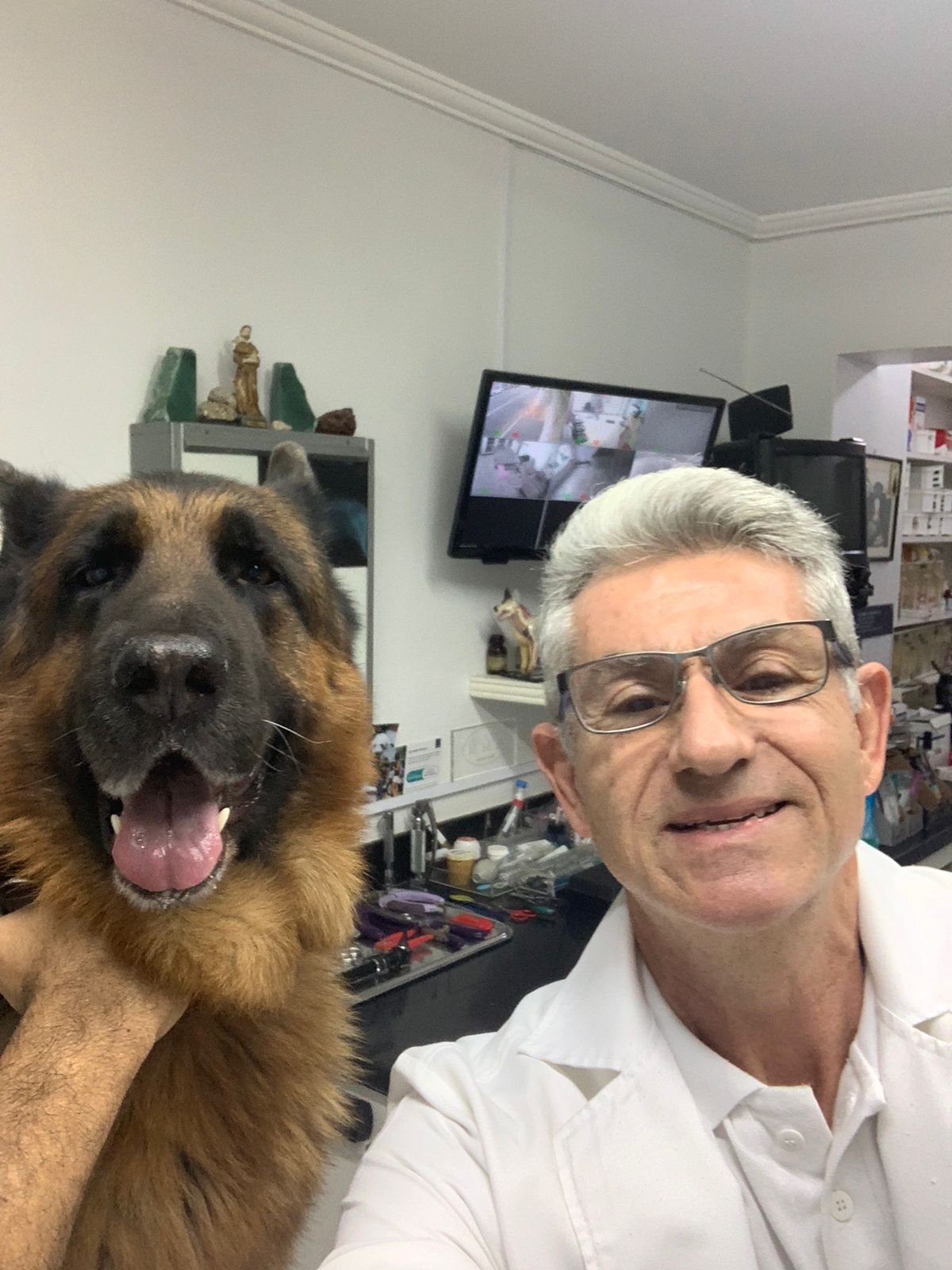 RMM - clínica veterinária