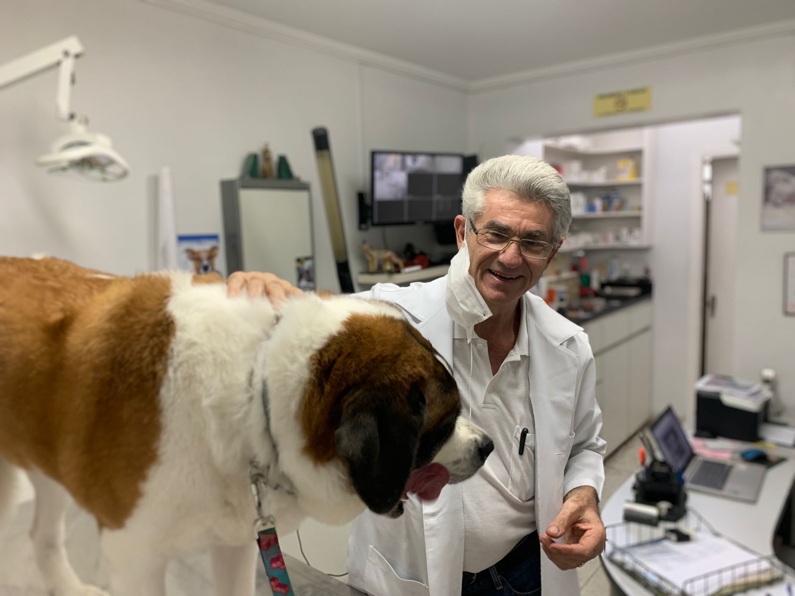 RMM - clínica veterinária