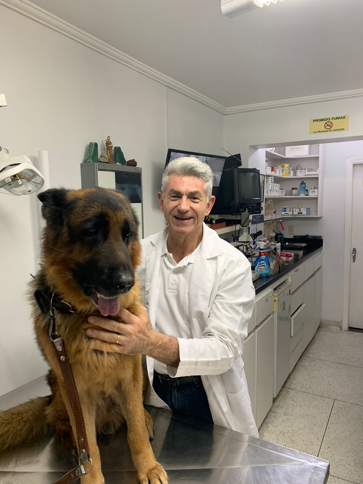 RMM - clínica veterinária