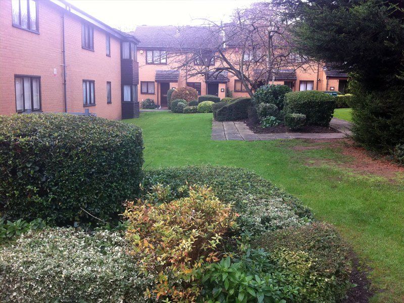 A house with a landscape