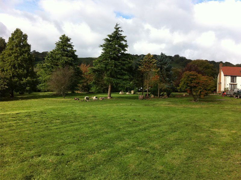 Landscape with trees