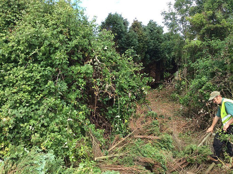 Gardener working at a site