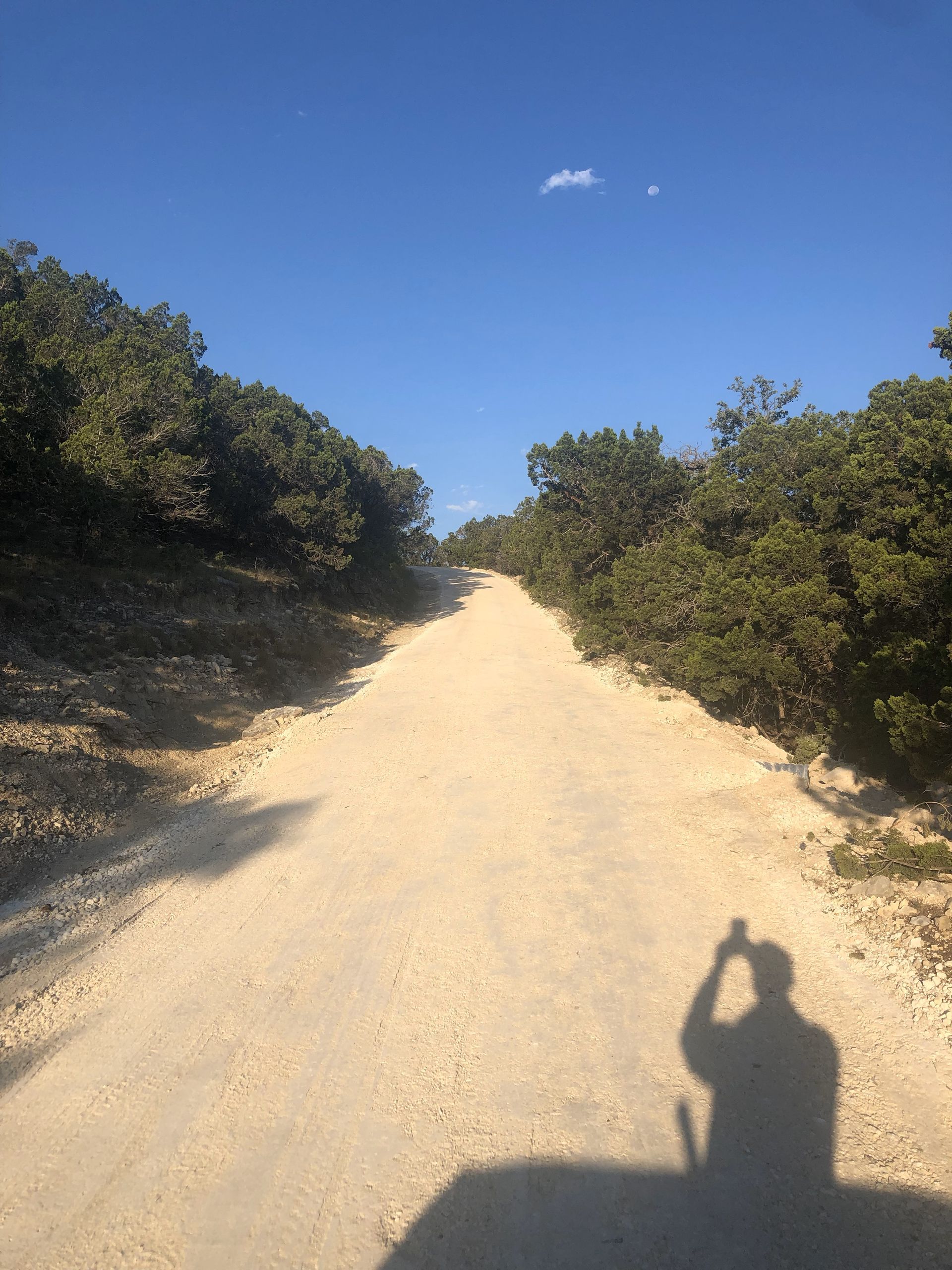 A person 's shadow is cast on a dirt road surrounded by trees.