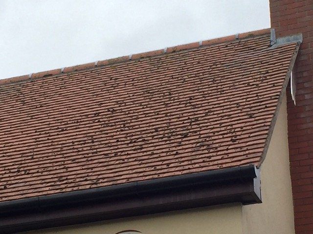 After Roof Repair