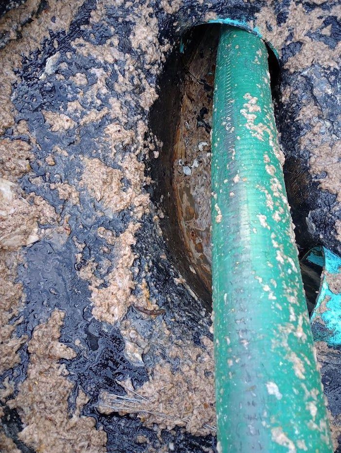 A green hose is sticking out of a hole in the ground.
