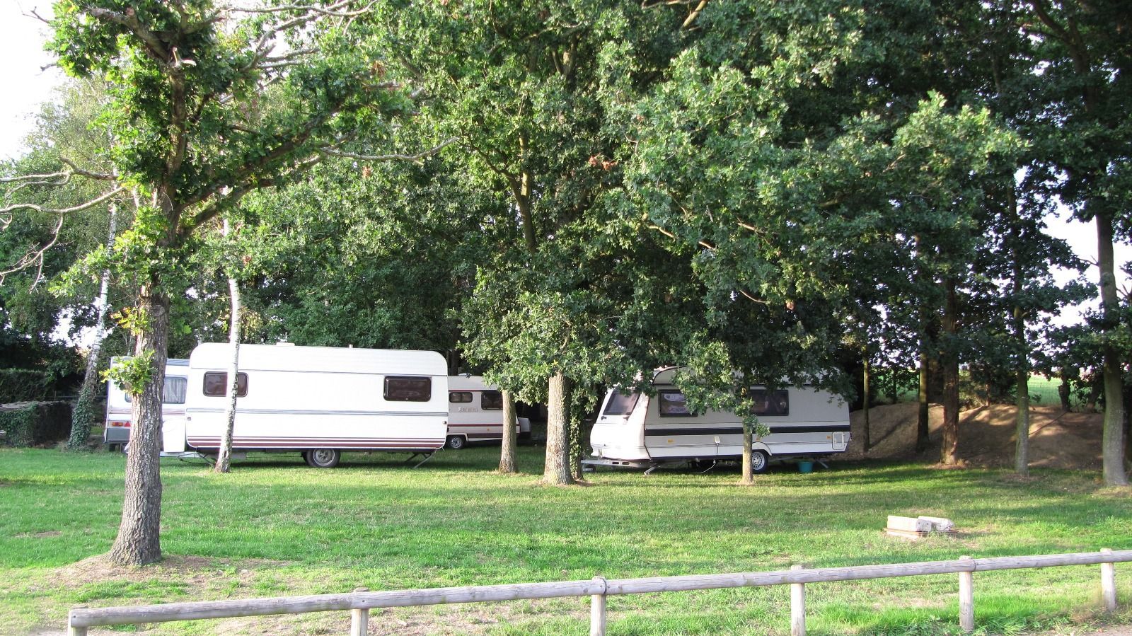 Un groupe de caravanes est garé dans un champ herbeux entouré d'arbres.