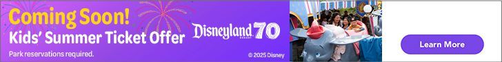 Special Offer Walt Disney World Travel | WDW_FY24_Q4+Special+Offers