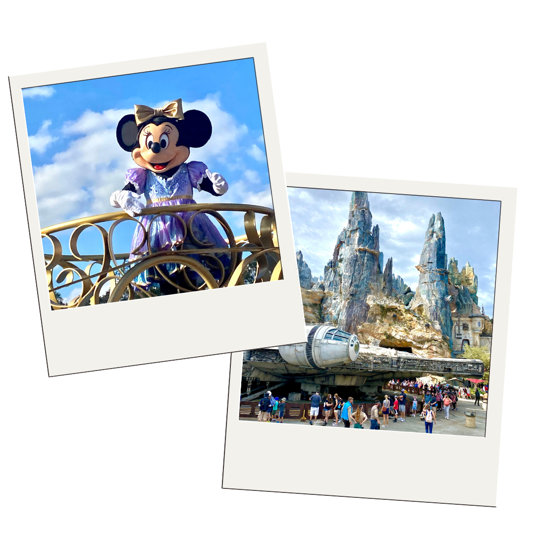 Pixie Dust Disney Vacation Planners | Universal Resorts Travel Agency