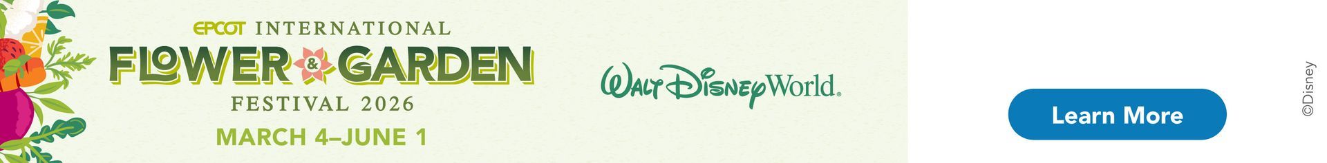 Special Offer Walt Disney World Travel | WDW_FY24_Q4+Special+Offers