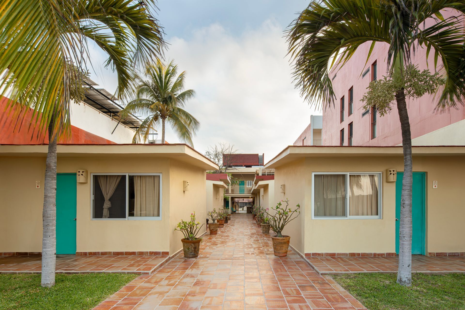 A row of houses with palm trees in front of them