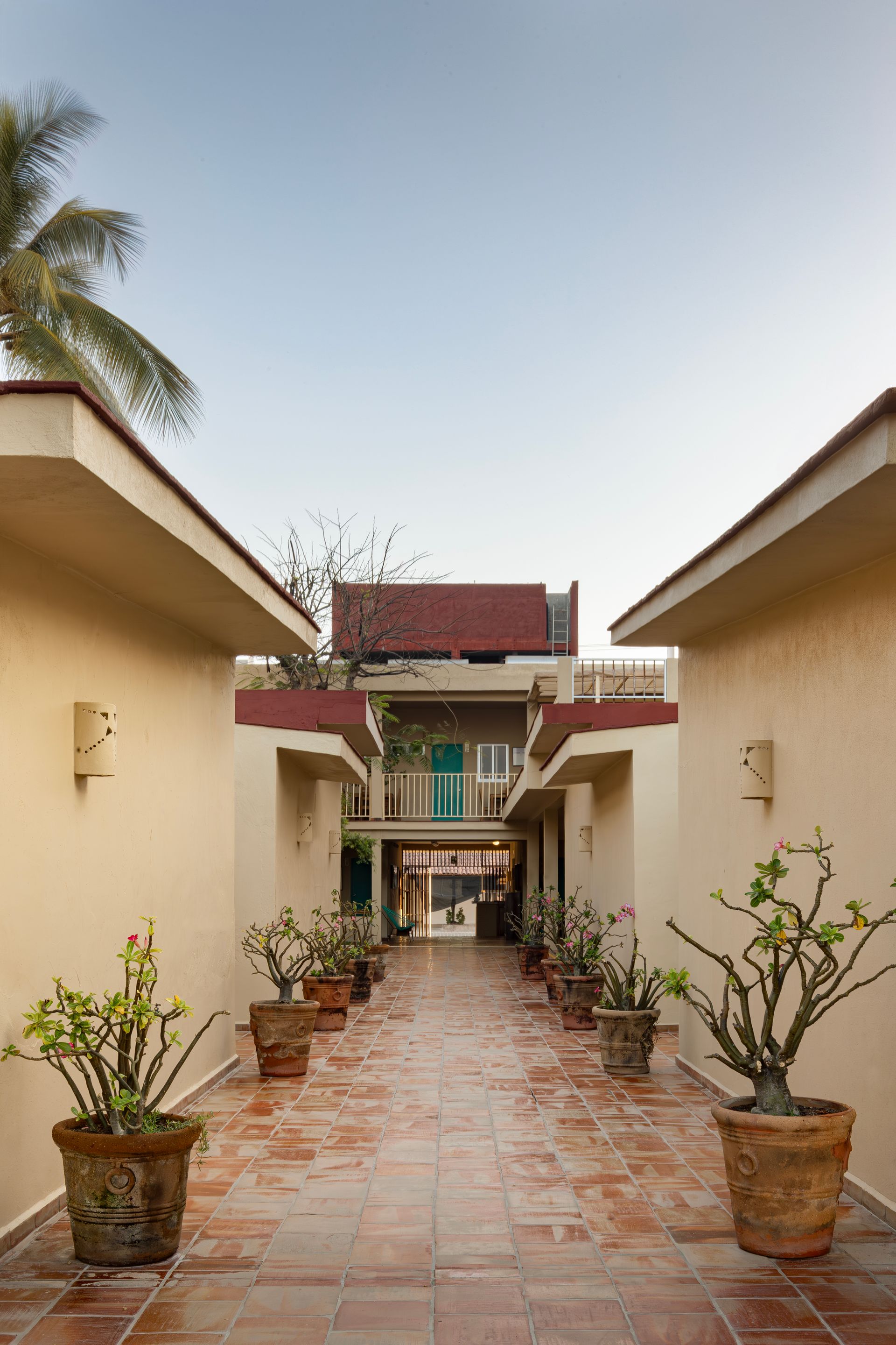 A walkway between two buildings with potted plants on the side