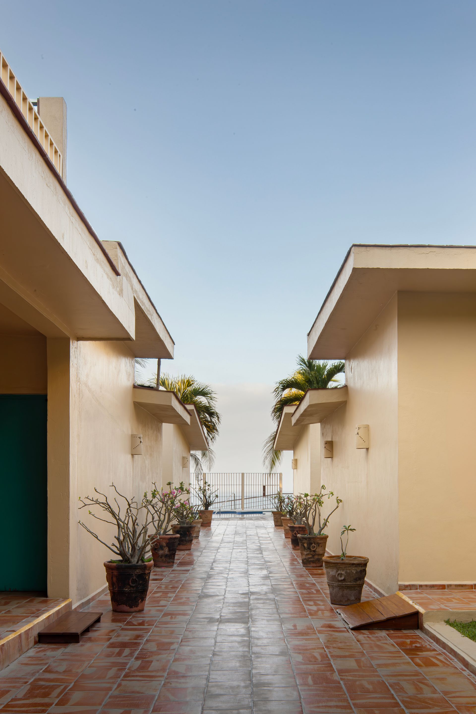 A walkway between two buildings with potted plants on the side.