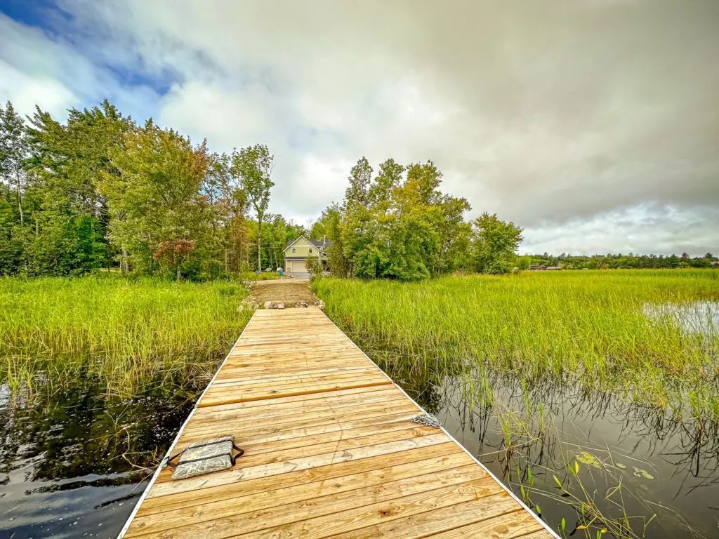 A wooden dock leading to a house in the middle of a swamp.