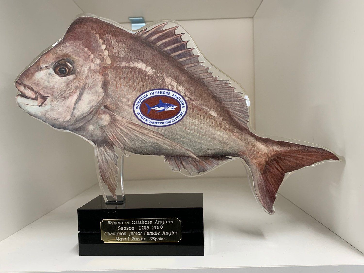custom trophy