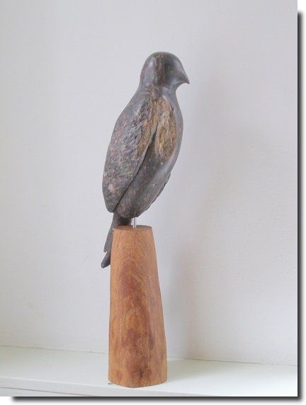 beeld drongo