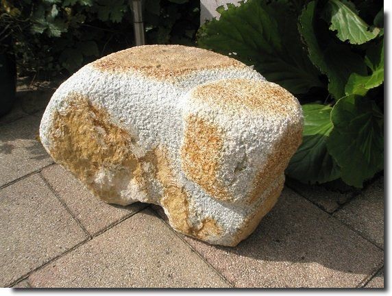 beeld wombat bert sprenkels