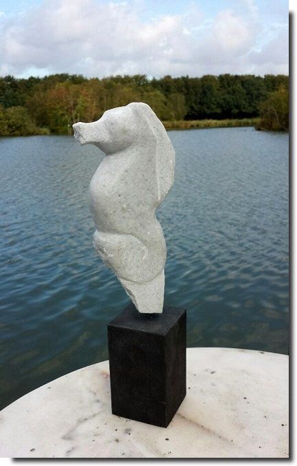 beeld zeepaardje