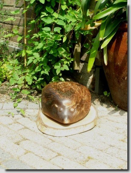 beeld egel