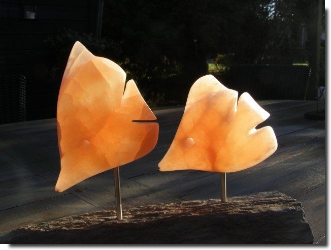 Laura Ruhe Beeld vissen seleniet