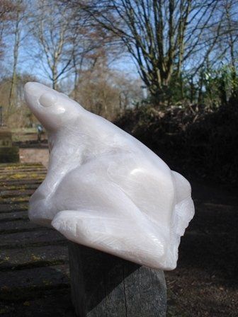 beeld kikker