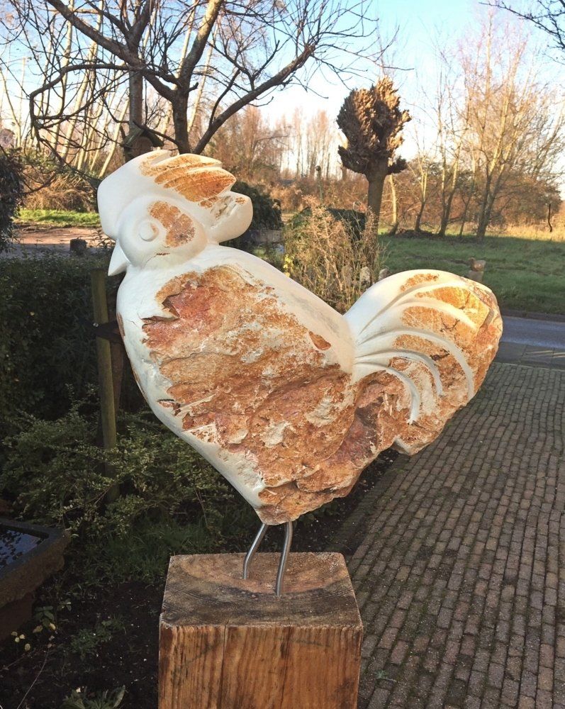 Beeld Haan regenboog serpentijn