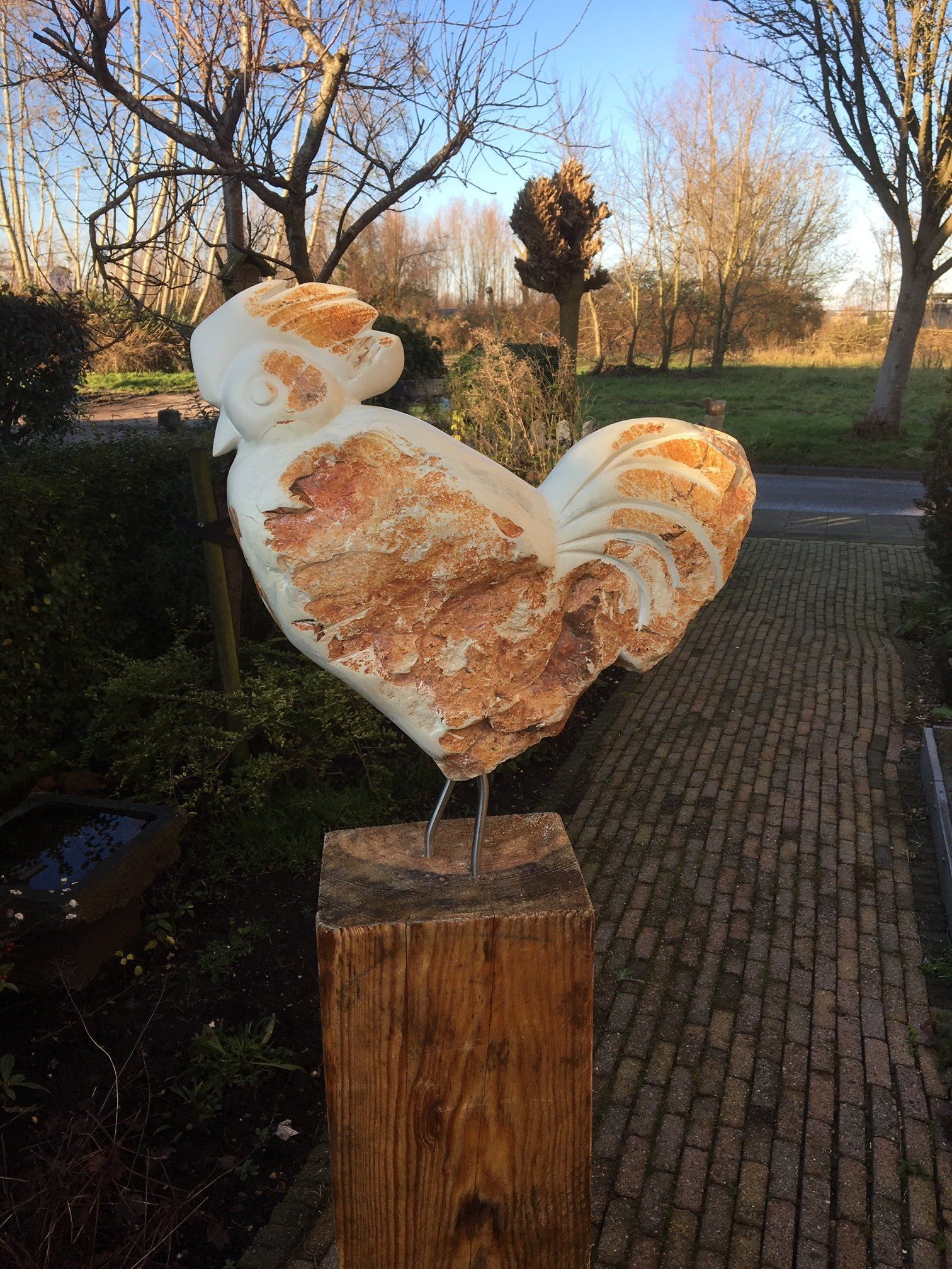Beeld haan Laura Ruhe
