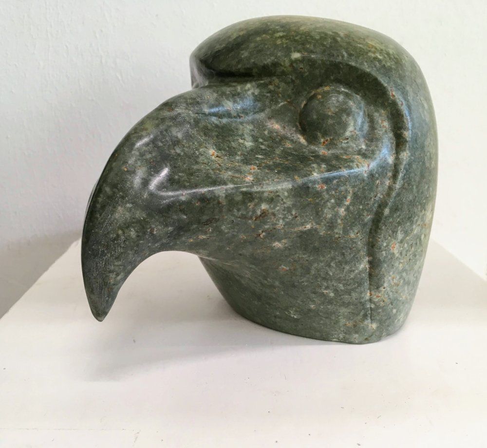 beeld roofvogel